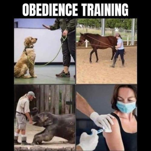 FB_IMG_1694963311325