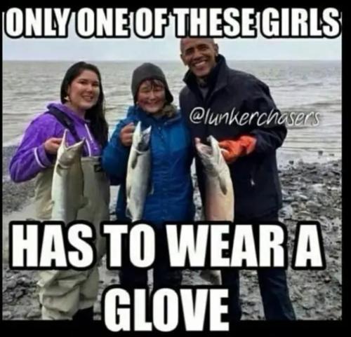 48994202-fda6-47b9-bd1d-65a7a4c27559