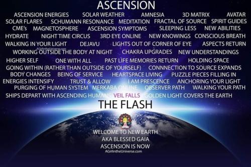 .  maxresdefault (4)