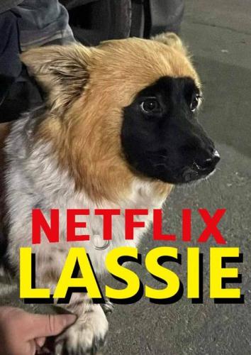 IMG_20230910_173345_511