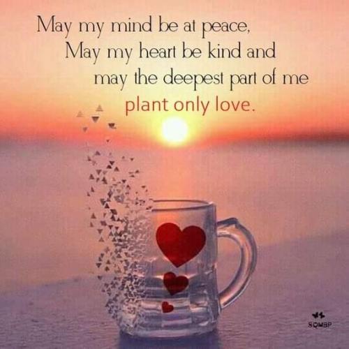 FB_IMG_1693761910359