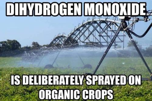 dihydrogen monoxideSockboy plant