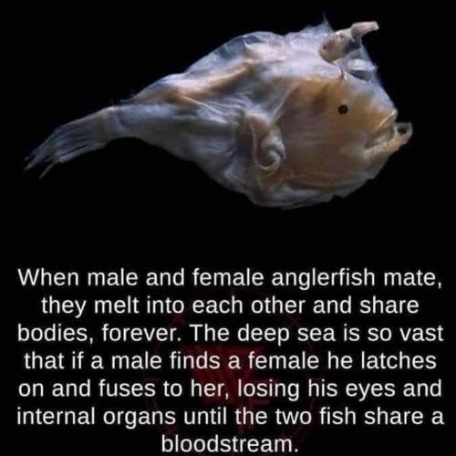 How to hold onto a mate. 😱