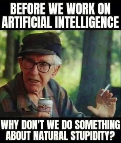 AI and natural stupidity