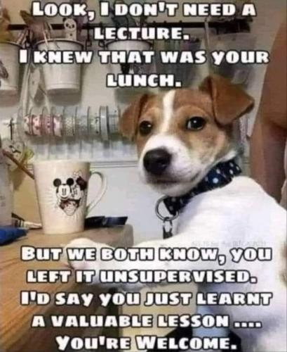 FB_IMG_1695122625143