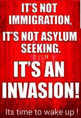 Not Immigration but Invasion
