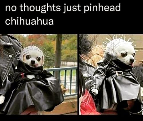 382994523_10160230898895995_5780523266766534654_n