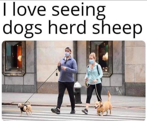 FB_IMG_1695937476094