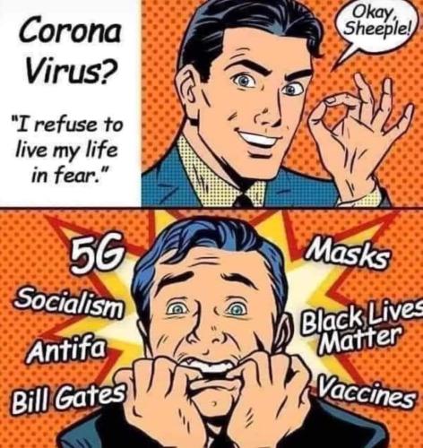 FB_IMG_1695937512087