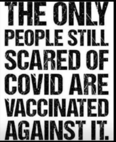 Screenshot_20230903-061949~2