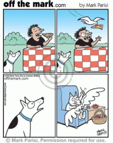 FB_IMG_1694686317208