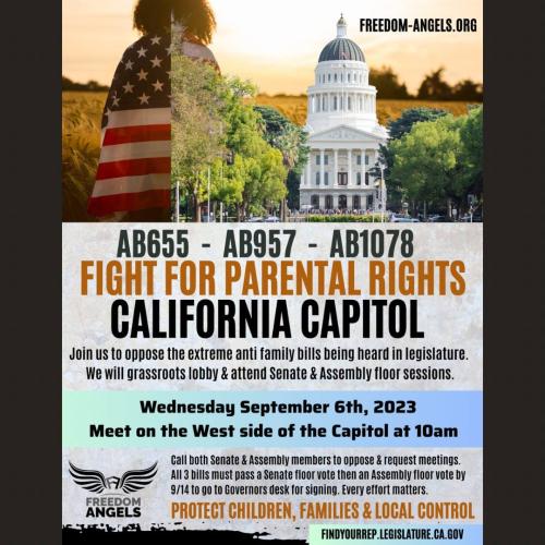 Sacramento, California - Sep 6, 2023 - Fight for Parental Rights