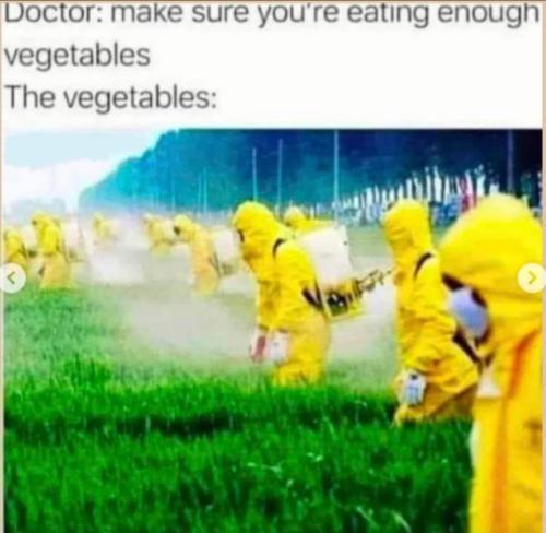 Eat Your Veggies