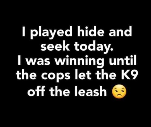 FB_IMG_1694192320681