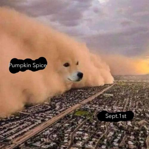 photo_2023-08-31_10-58-36