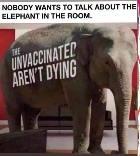 unvax not dying