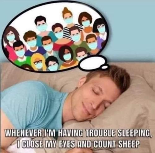 FB_IMG_1695790611482