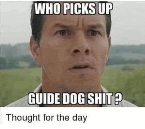 FB_IMG_1695678153658