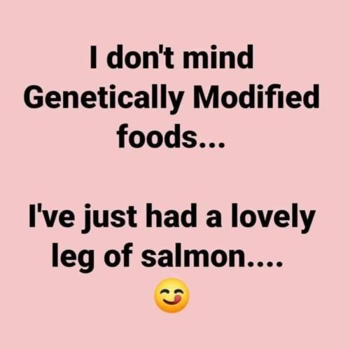 FB_IMG_1695496317546