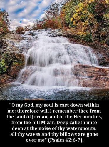 3d0a366f-96a2-4a11-9bc5-922438bf5bf8