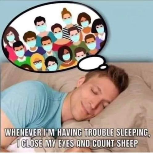 FB_IMG_1694832515301