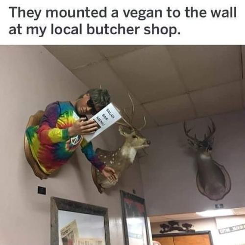 mounted a vegan