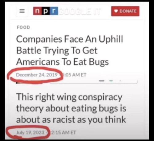eat bugs