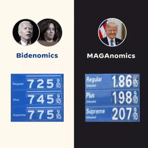 Bidenomics vs MAGAnomics