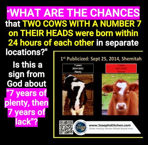 15:52:56 GMT-0400 (EDT)