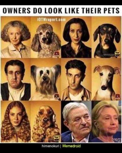 Screenshot_20231010_205101_Truth Social