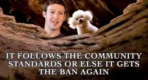 FB_IMG_1696273528127