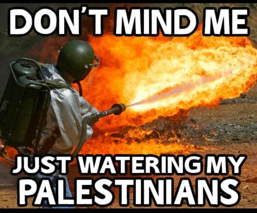 Just watering my Palestinians.960px