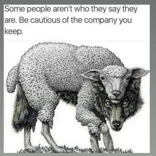 FB_IMG_1696860631497