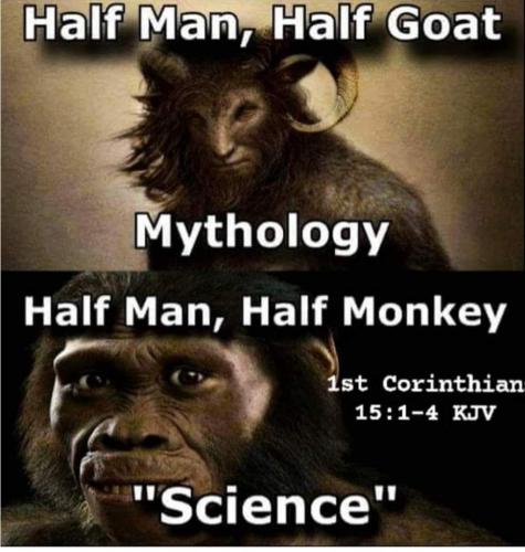 5450f199-0f3e-4ce6-8988-1ce34eae5f27