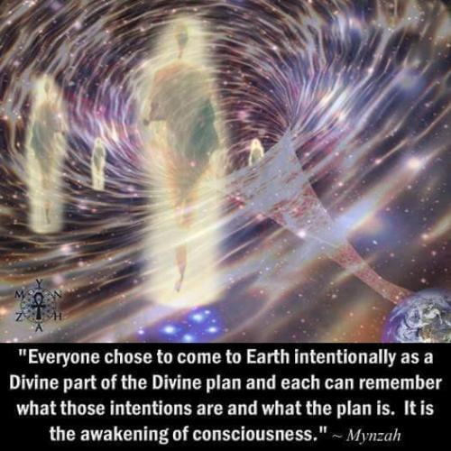 .              44353450_10156806