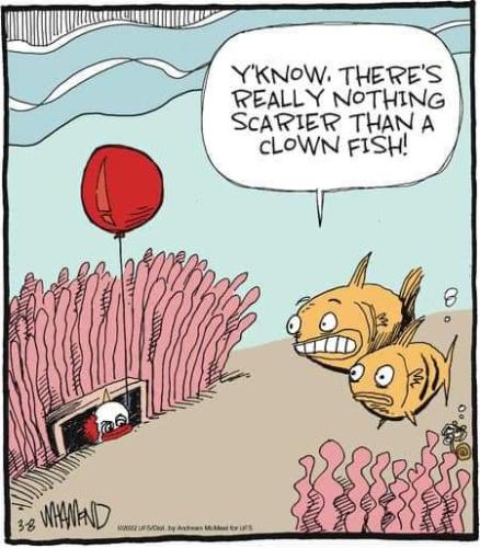 FB_IMG_1696294647133