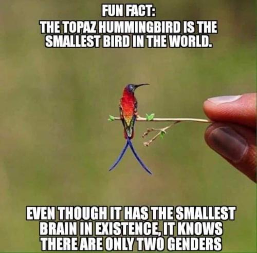 FB_IMG_1697940137380