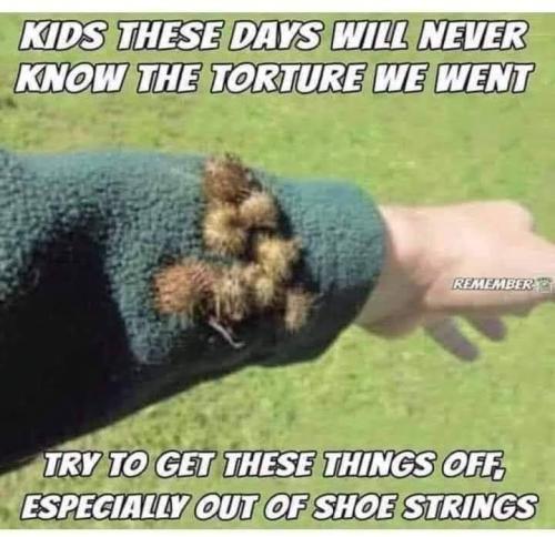 FB_IMG_1696873532977
