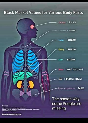 Screenshot_20231022_111305_Gallery