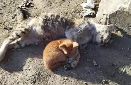 IMG_20231030_092103_443