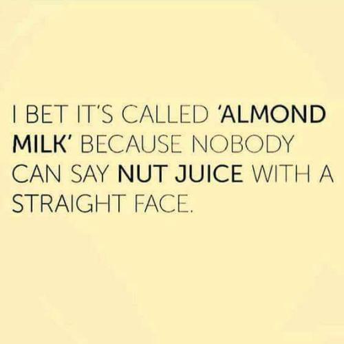 FB_IMG_1698790208728