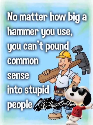 FB_IMG_1697759608123