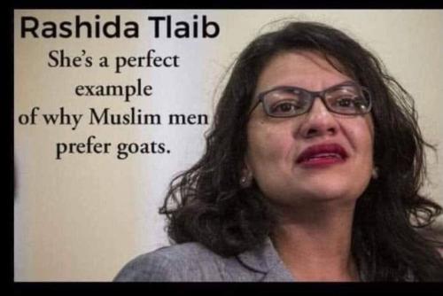 tlaib f