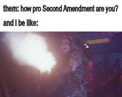 how pro second amendment are you03