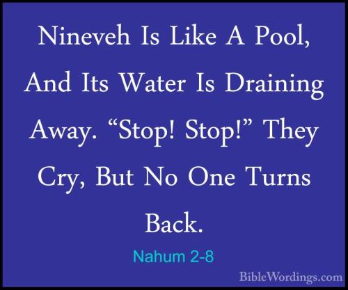 Nahum 2_8