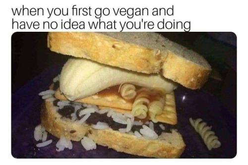first go at