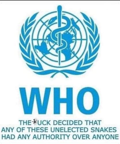 FB_IMG_1696316209282