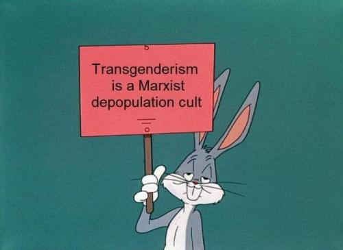 FB_IMG_1696120214266