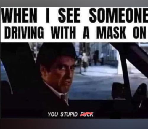 Screenshot_20231003_084132_Photos