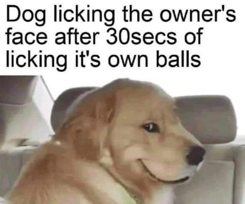 FB_IMG_1698763979215